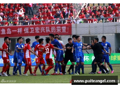 南方球员暴力事件引发讨论：体育界如何应对球场暴力？