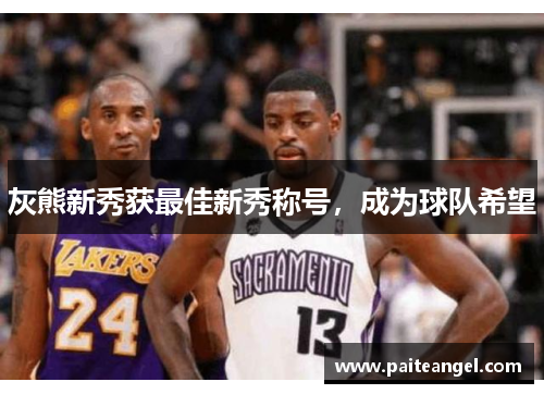 灰熊新秀获最佳新秀称号，成为球队希望