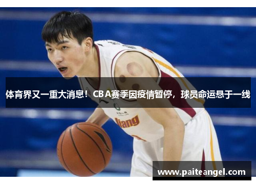体育界又一重大消息！CBA赛季因疫情暂停，球员命运悬于一线