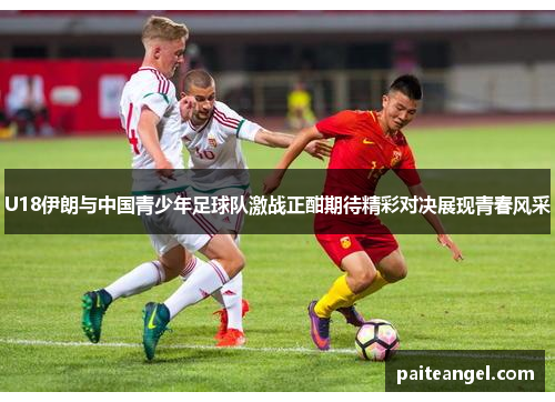 U18伊朗与中国青少年足球队激战正酣期待精彩对决展现青春风采