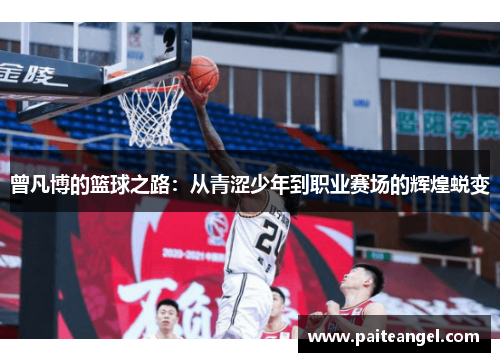 曾凡博的篮球之路：从青涩少年到职业赛场的辉煌蜕变